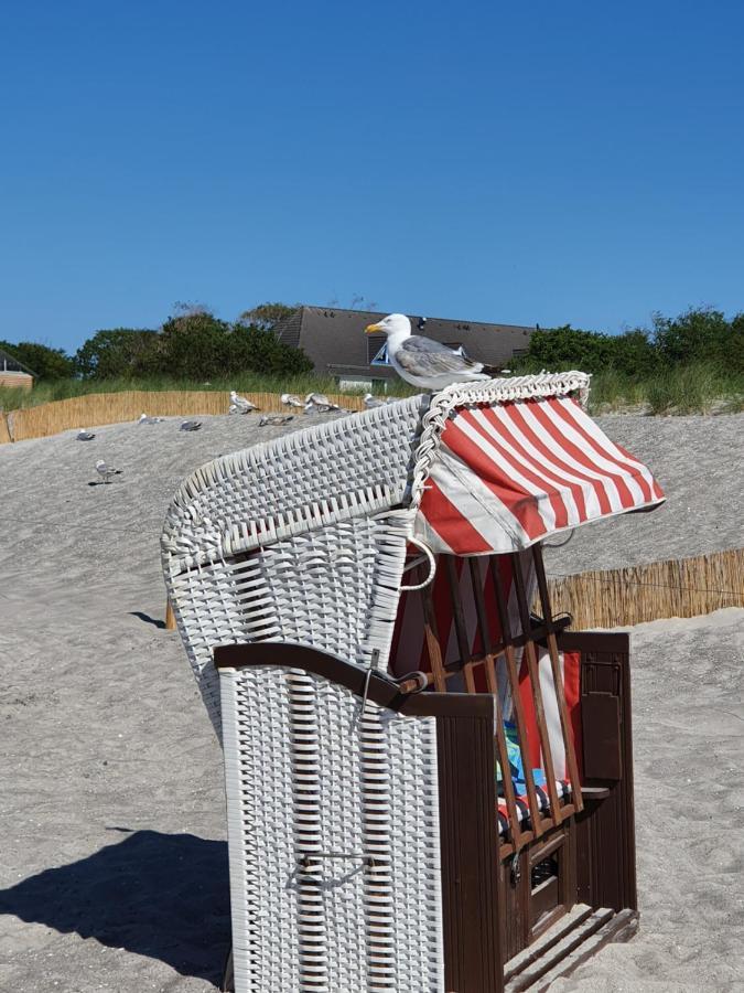 Kuestenliebe 8 Graal-Mueritz Exteriör bild